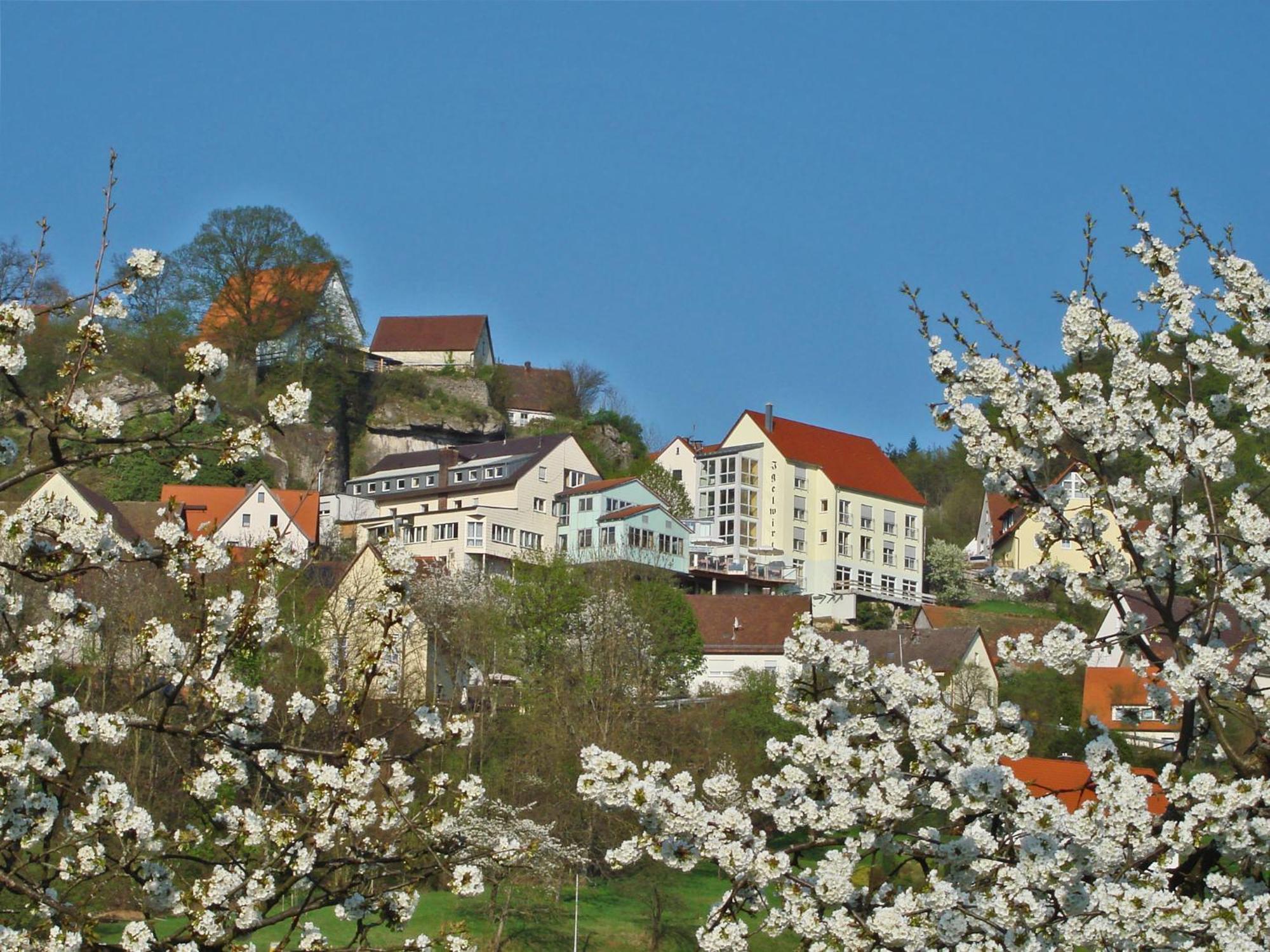Berggasthof Hotel Igelwirt Schnaittach Εξωτερικό φωτογραφία
